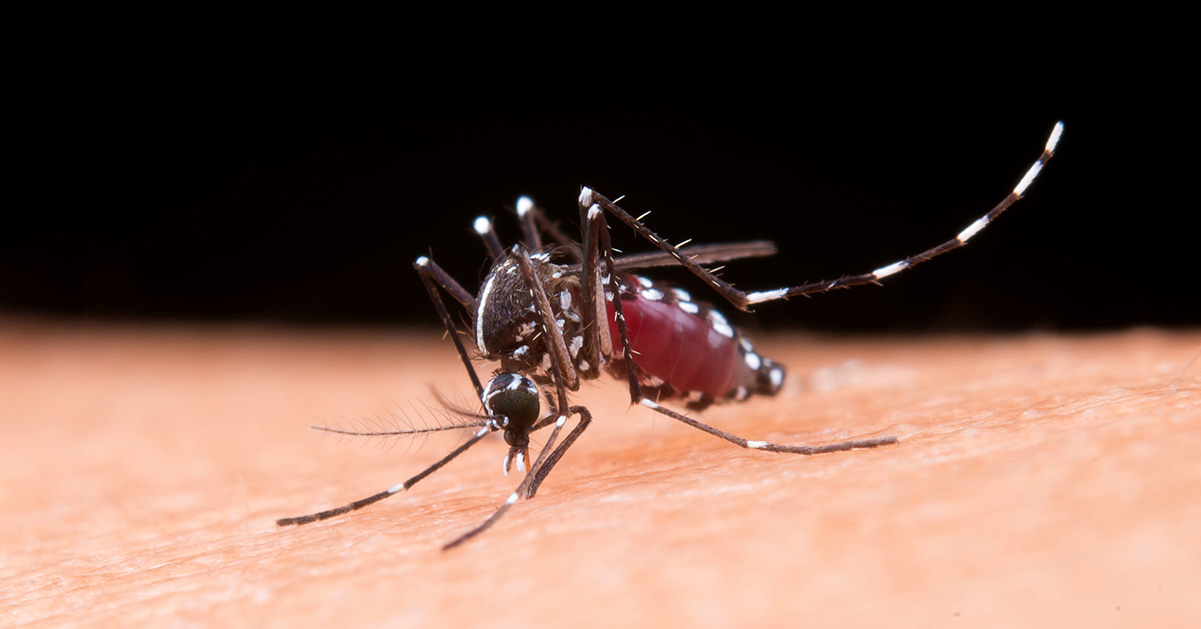 Dengue: medidas preventivas en lugares de trabajo